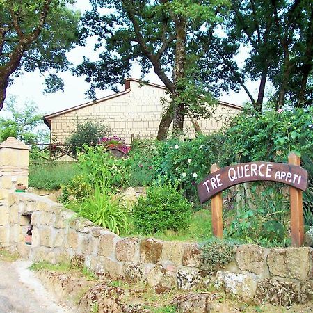 Appartamento Tre Querce Di Guerrini Patrizia Sorano  Exterior foto